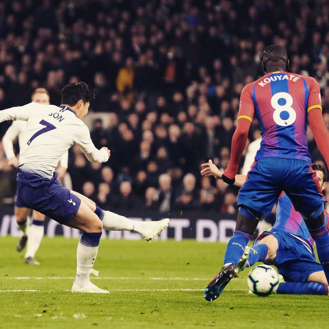 们不得不暂 们不得不暂